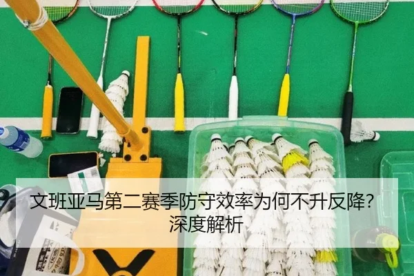 文班亚马第二赛季防守效率为何不升反降？深度解析